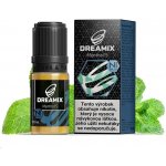 Dreamix SALT Menthol'S Mentol 10 ml 10 mg – Hledejceny.cz