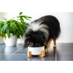 Vsepropejska Tabby keramická Miska pro psa či kočku 15 cm – Sleviste.cz