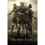 The Elder Scrolls Online – Zboží Dáma The Elder Scrolls Online – Zboží Dáma
