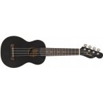 Fender Venice Soprano Ukulele – Zbozi.Blesk.cz