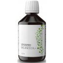 Zinzino BalanceOil+ Vegan 300 ml přírodní