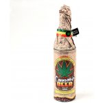Euphoria Cannabis Beer 4,2% 0,5 l (sklo) – Sleviste.cz