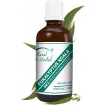 Karel Hadek Eukalyptus Koala Éterický olej 50 ml – Hledejceny.cz