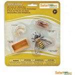 Safari Ltd. Životní cyklus Včela – Sleviste.cz