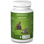 Roboran pro plazy a obojživelníky 100 g – Hledejceny.cz