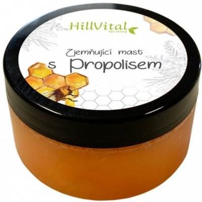 HillVital Propolisová mast 100 ml – Zbozi.Blesk.cz