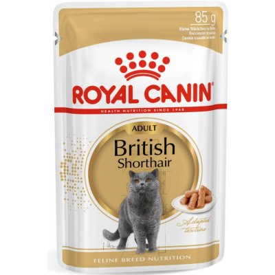 Royal Caninish Shorthair Adult 12 x 85 g