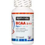 Survival BCAA 2:1:1 Fair Power 150 kapslí – Hledejceny.cz