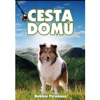 Cesta domů