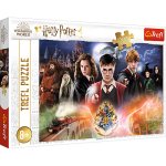 TREFL Tajemný Harry Potter 300 dílků – Zbozi.Blesk.cz