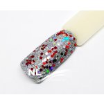 NL nails professional GLITTER LIMITED COLLECTION – Hledejceny.cz