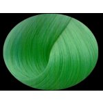La Riché Directions 16 Spring Green 89 ml – Zboží Mobilmania