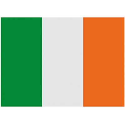 Printwear Vlajka Irsko Flagie Ireland 90 x 150 cm – Hledejceny.cz