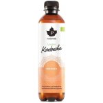 Puhdistamo Kombucha BIO 370 ml ginger lemon Bio Kombucha zázvor-citrón – Hledejceny.cz