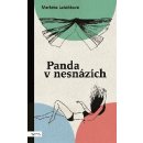 PANDA V NESNÁZÍCH - Lukášková Markéta