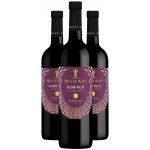 Marani Alazani Valley červené polosladké gruzínské 2022 12% 0,75 l (holá láhev) – Zbozi.Blesk.cz