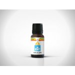 BEWIT Gold Lips roll-on 5 ml – Hledejceny.cz