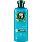 HERBAL ESSENCES Šampon s arganovým olejem 350 ml – Zbozi.Blesk.cz
