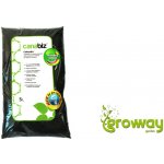 canabiz Carbonbiz mineralized 1 l – Zboží Dáma