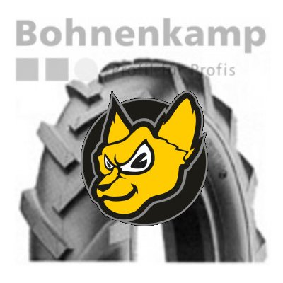 CST C-298 125/75-6 13x5-6 46A8 TL – Sleviste.cz