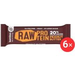 Bombus Raw Protein 6 x 50g – Zbozi.Blesk.cz