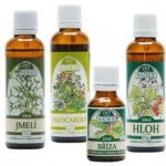 Naděje NK31 Kúra pro harmonizaci kardiovaskulární soustavy 175 ml – Hledejceny.cz