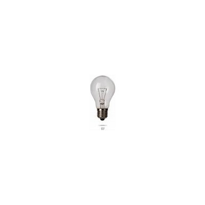 Wojnarowscy Nízkonapěťová žárovka E27 60W/ 24V MS – Hledejceny.cz