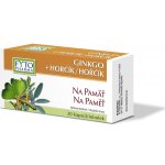 Fytopharma Ginkgo+Hořčík na paměť 30 tablet – Hledejceny.cz