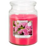 Bispol Aura Maxi Rose 500 g – Sleviste.cz