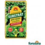 Forestina Substrát HOŠTICKÝ pro výsev a množení 40 l – Zboží Mobilmania
