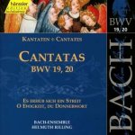 Johann Sebastian Bach - Cantatas BWV 19, 20 - Es Erhub Sich Ein Streit O Ewigkeit, Du Donnerwort Vol.6 CD – Zboží Mobilmania