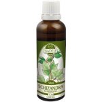 Naděje T38 Schizandra klanopraška 50 ml – Hledejceny.cz