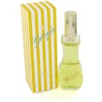 Giorgio Beverly Hills Eau de Giorgio toaletní voda dámská 90 ml tester – Hledejceny.cz