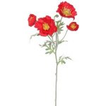 Vlčí mák 4 květy, v. 52 cm, červená
