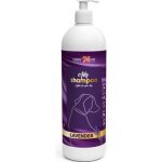 Aiko Šampon Levandulový pro psy 1 l – HobbyKompas.cz