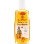 BC Bione Cosmetics Dentamint ústní voda Med a Propolis 500 ml – Hledejceny.cz