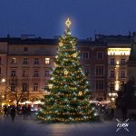 DECOLED LED světelná sada na vánoční stromy vysoké 9-11 m teplá bílá s Flash dekory EFD12W – Hledejceny.cz