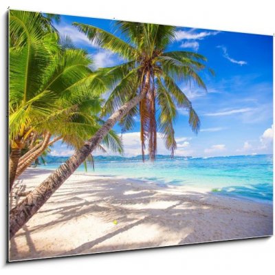 Obraz 1D - 100 x 70 cm - Coconut Palm tree on the white sandy beach Kokosová palma na bílé písečné pláži