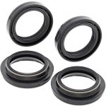 ALL BALLS sada olejových a prachových těsnění KTM SX65 02-11, XC65 08-09 – Hledejceny.cz