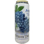 AriZona Blueberry White Tea 0,65 l – Zbozi.Blesk.cz