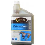 Horse Master Pulmochron 1 l – Hledejceny.cz