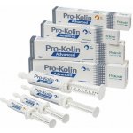 Protexin Pro-Kolin Advanced pasta pro psy 15 ml – Hledejceny.cz
