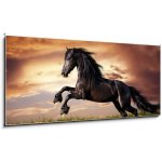 Obraz 1D panorama - 120 x 50 cm - Black Friesian horse gallop Černý fríský kůň cval – Sleviste.cz