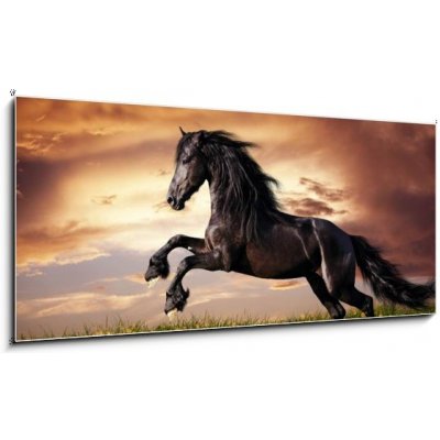 Obraz 1D panorama - 120 x 50 cm - Black Friesian horse gallop Černý fríský kůň cval