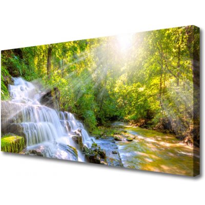Obraz na plátně Vodopád Les Příroda 100x50 cm – Zboží Dáma