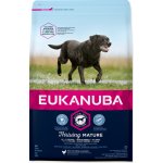 Eukanuba Mature & Senior Large Breed 3 kg – Hledejceny.cz