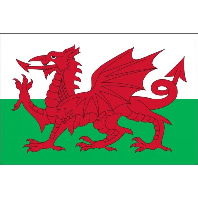 Vlajka Wales vlajka - 100 x 150 cm - tunel, karabina – Hledejceny.cz