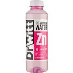 DrWitt ISO vitamín voda liči 0,55 l – Hledejceny.cz