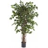 Květina Luxusní umělý strom FICUS LIANA EXOTICA, 180 cm