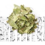 Aniland Březové listy sušené Celé 20 g – Zboží Dáma